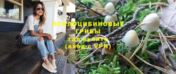 стаф Навашино
