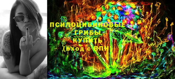 mix Надым