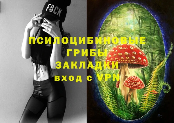 стаф Навашино