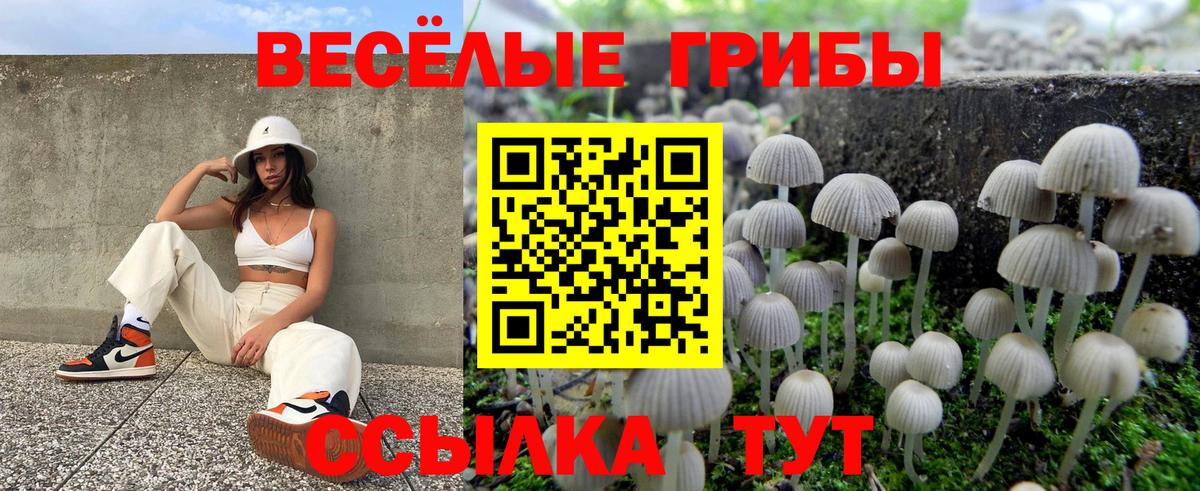 наркота  Вход с VPN  Биробиджан  Галлюциногенные грибы Cubensis 