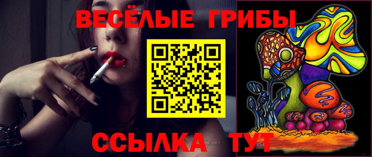 Псилоцибиновые грибы MAGIC MUSHROOMS Биробиджан
